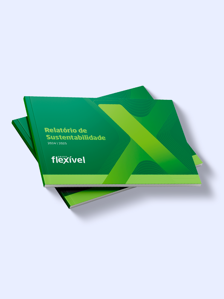 Grupo Flexível - Português