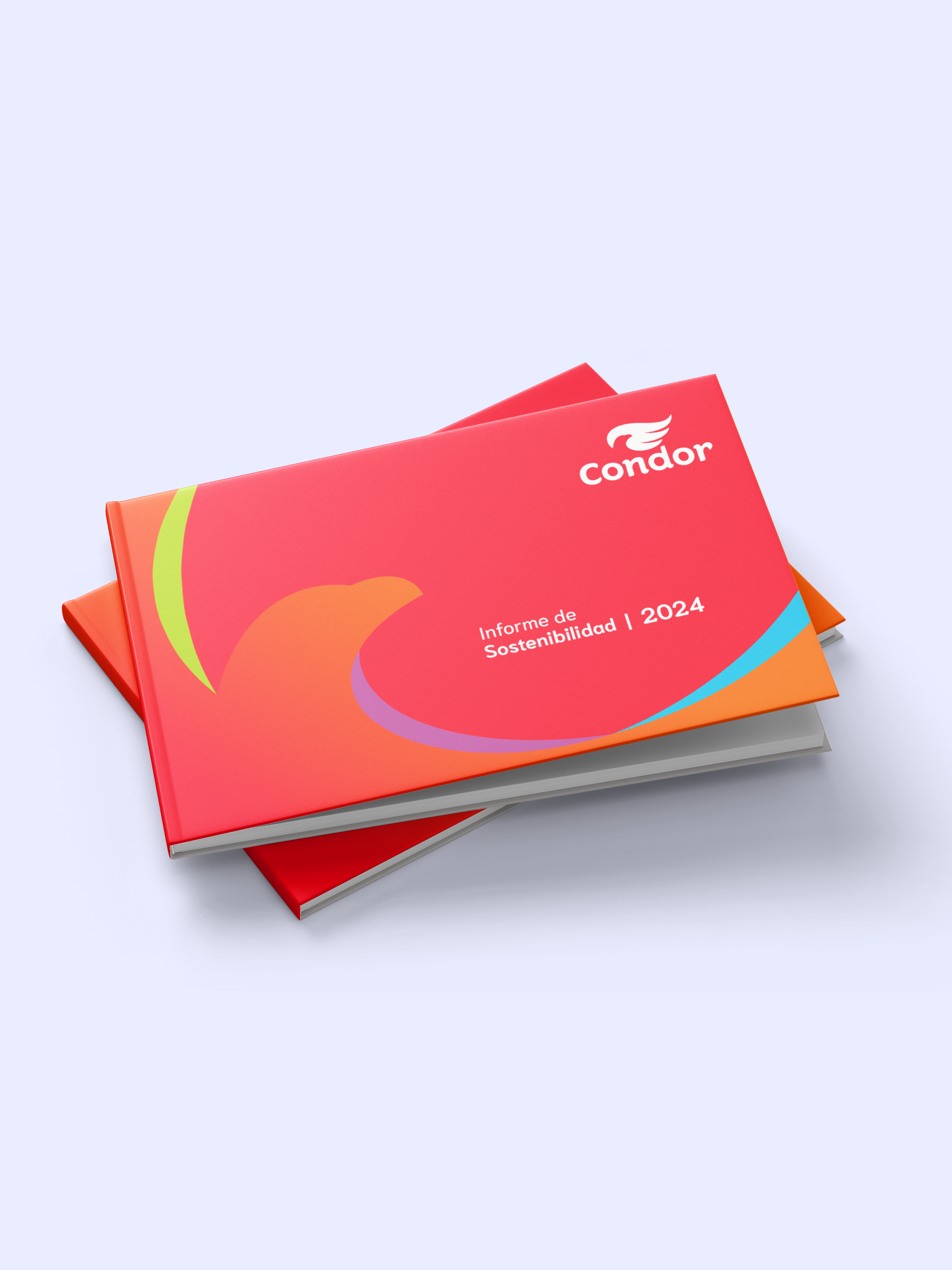 Condor - Español