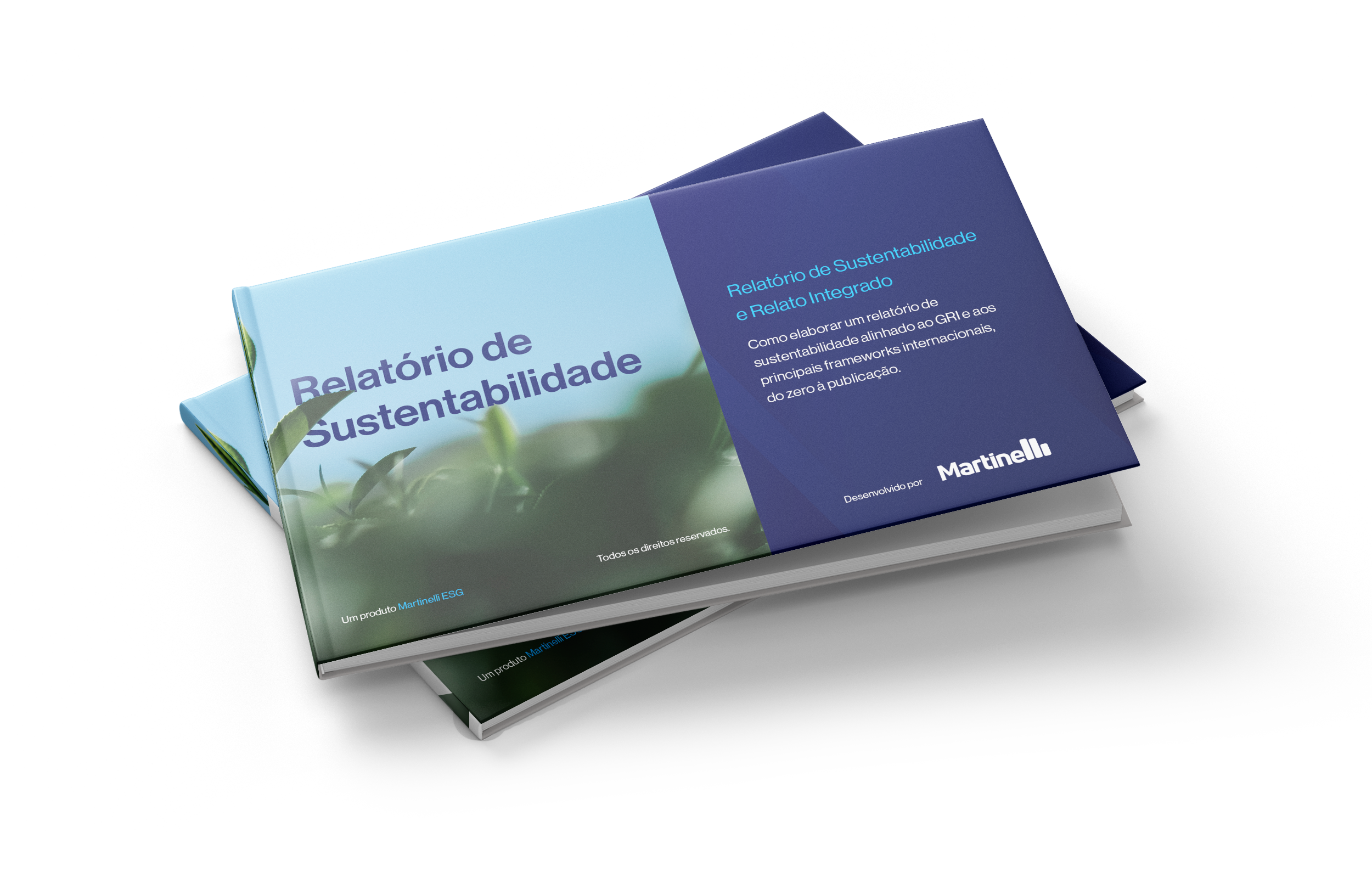 <b>Como elaborar um relatório de sustentabilidade alinhado ao seu setor?</b>

Entenda os principais frameworks, como mapear indicadores materiais e como estruturar um relatório que gera credibilidade real perante a investidores de mercado.